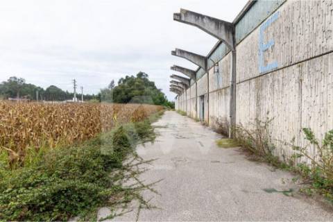 Armazém em Complexo Industrial na Zona Industrial de Vagos