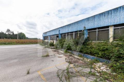 Armazém em Complexo Industrial na Zona Industrial de Vagos