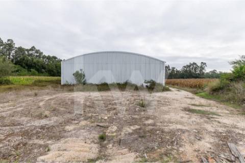 Armazém em Complexo Industrial na Zona Industrial de Vagos