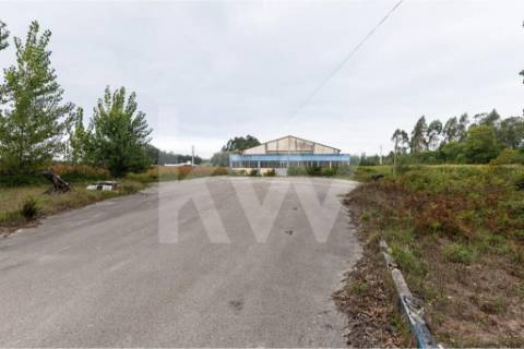 Armazém em Complexo Industrial na Zona Industrial de Vagos