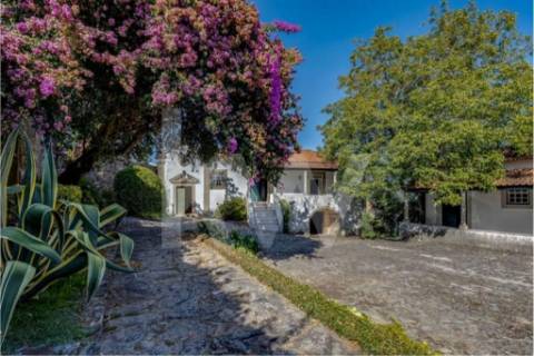 Excelente Quinta no Douro, casa com pedra de armas, fim do século XVII, vista sobre o Rio Douro