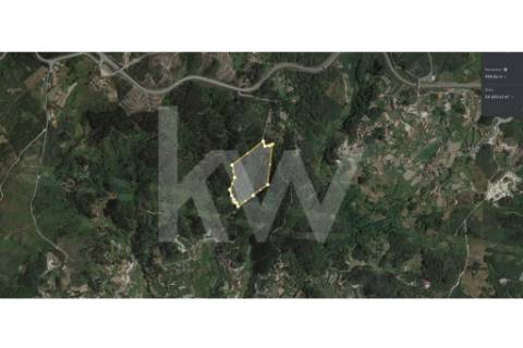 TERRENO DE 5,4 HECTARES LOCALIZADO EM GOSENDE - BAIÃO