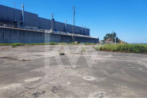 Terreno para construção de armazém Industrial, Baltar com 11.309,8 m2 .