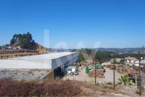 Terreno para construção de armazém Industrial, Baltar com 11.309,8 m2 .