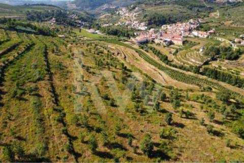 Quinta do Convento em Salzedas situada na Região do Távora-Varosa