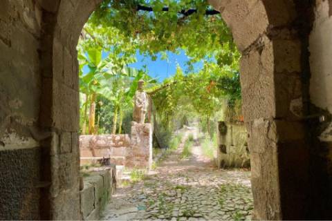 Quinta do Convento em Salzedas situada na Região do Távora-Varosa