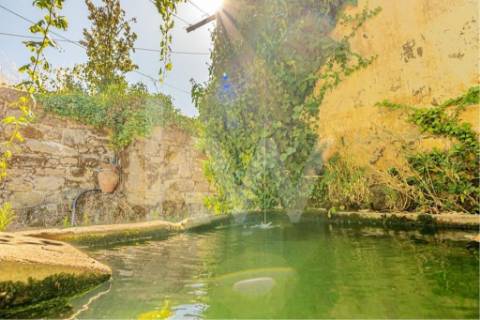 Quinta do Convento em Salzedas situada na Região do Távora-Varosa