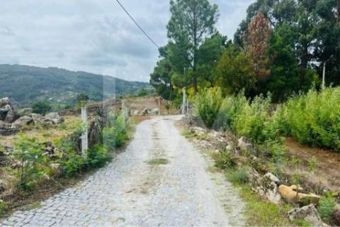 Terreno 510 em Santa Leocádia e Mesquinhata 13.900m2, localizado em Baião