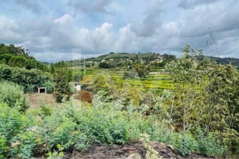 Terreno 510 em Santa Leocádia e Mesquinhata 13.900m2, localizado em Baião