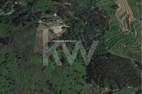 Terreno 510 em Santa Leocádia e Mesquinhata 13.900m2, localizado em Baião