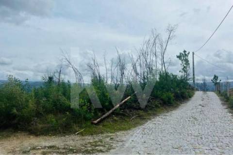 Terreno 510 em Santa Leocádia e Mesquinhata 13.900m2, localizado em Baião