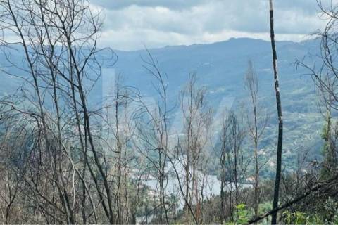 Terreno 510 em Santa Leocádia e Mesquinhata 13.900m2, localizado em Baião