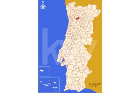 Terreno 510 em Santa Leocádia e Mesquinhata 13.900m2, localizado em Baião