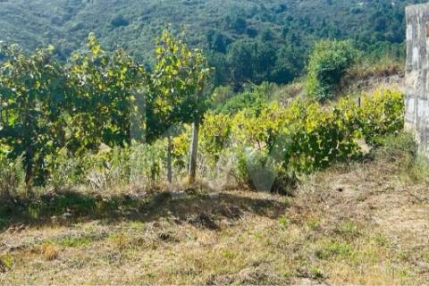 Terreno 2289/268 em Gove com 16.636m2, localizado em Baião