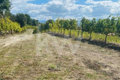 Terreno 2289/268 em Gove com 16.636m2, localizado em Baião