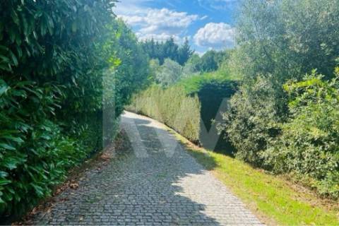 Terreno 3237 em Santa Cruz do Douro e São Tomé de Covelas com 1390m2, localizado em Baião