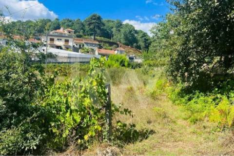 Terreno 3237 em Santa Cruz do Douro e São Tomé de Covelas com 1390m2, localizado em Baião
