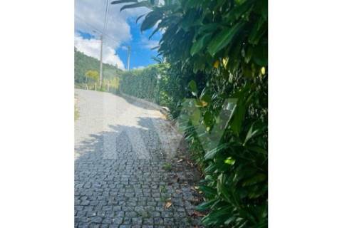 Terreno 3237 em Santa Cruz do Douro e São Tomé de Covelas com 1390m2, localizado em Baião