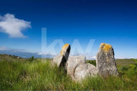 Terreno 3237 em Santa Cruz do Douro e São Tomé de Covelas com 1390m2, localizado em Baião