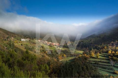 Terreno 3237 em Santa Cruz do Douro e São Tomé de Covelas com 1390m2, localizado em Baião