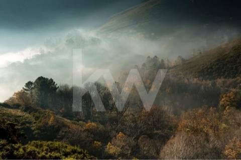 Terreno 3237 em Santa Cruz do Douro e São Tomé de Covelas com 1390m2, localizado em Baião