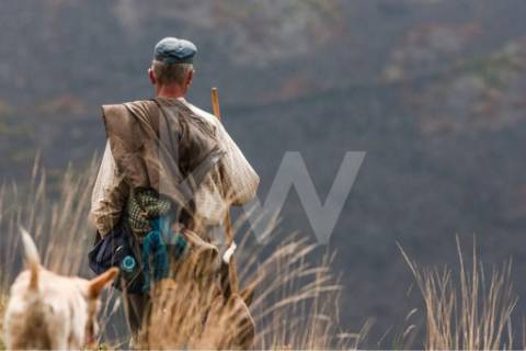Terreno 3237 em Santa Cruz do Douro e São Tomé de Covelas com 1390m2, localizado em Baião