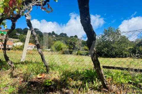 Terreno 2600 em Gestaçô com 3800m2, situado em Baião