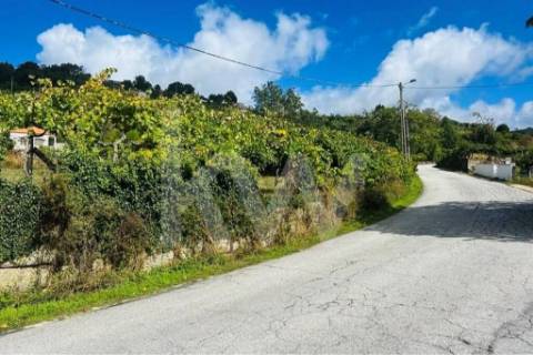 Terreno 2600 em Gestaçô com 3800m2, situado em Baião
