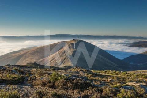 Terreno 2600 em Gestaçô com 3800m2, situado em Baião