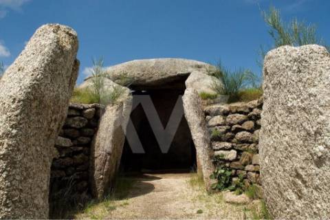 Terreno 2600 em Gestaçô com 3800m2, situado em Baião