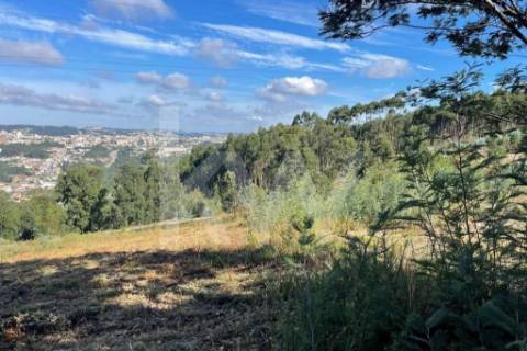 LOTE TERRENO URBANO COM 600 M2 LOCALIZADO EM MACINHATA DA SEIXA (OLIVEIRA DE AZEMÉIS)