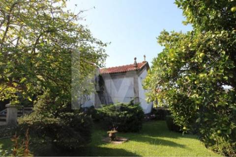 Quinta solarenga com 23.000 m2, casa com capela e anexos em pedra