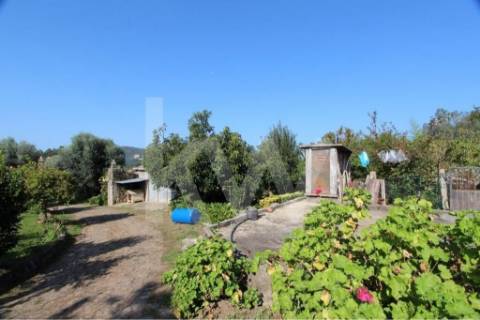 Quinta solarenga com 23.000 m2, casa com capela e anexos em pedra