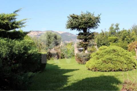 Quinta solarenga com 23.000 m2, casa com capela e anexos em pedra