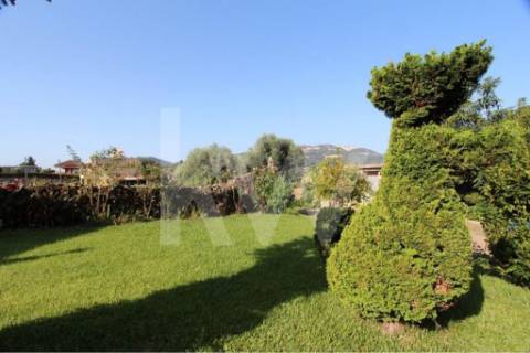 Quinta solarenga com 23.000 m2, casa com capela e anexos em pedra