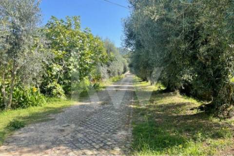 Quinta solarenga com 23.000 m2, casa com capela e anexos em pedra