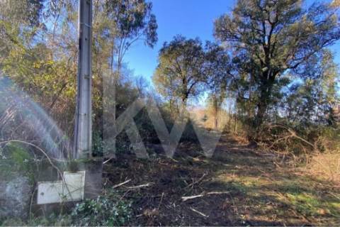 Terreno de 1.400 m² a Apenas 6 Minutos de Santo Tirso!