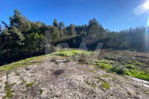 Terreno de 1.400 m² a Apenas 6 Minutos de Santo Tirso!