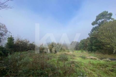 Terreno de 1.400 m² a Apenas 6 Minutos de Santo Tirso!