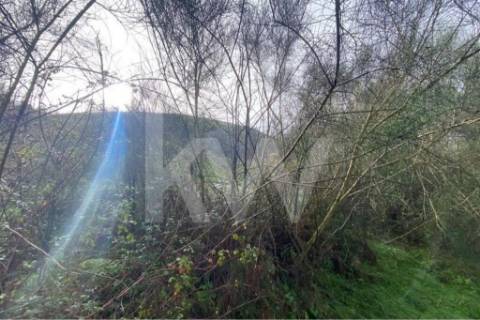 Terreno de 1.400 m² a Apenas 6 Minutos de Santo Tirso!