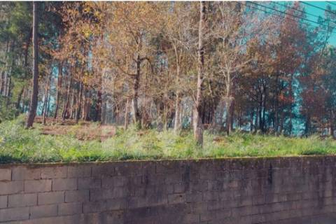 Terreno com PIP aprovado para 6 moradias, Lobão, Santa Maria da Feira