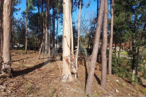 Terreno com PIP aprovado para 6 moradias, Lobão, Santa Maria da Feira