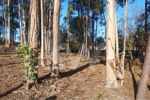 Terreno com PIP aprovado para 6 moradias, Lobão, Santa Maria da Feira