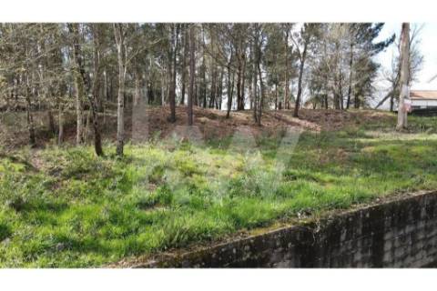 Terreno com PIP aprovado para 6 moradias, Lobão, Santa Maria da Feira