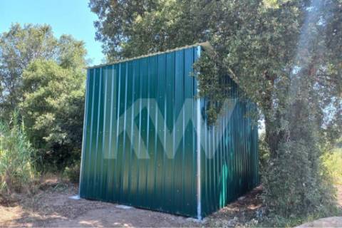 QUINTA DE 2,5 HA COM POMAR DE KIWIS, EM CANTANHEDE