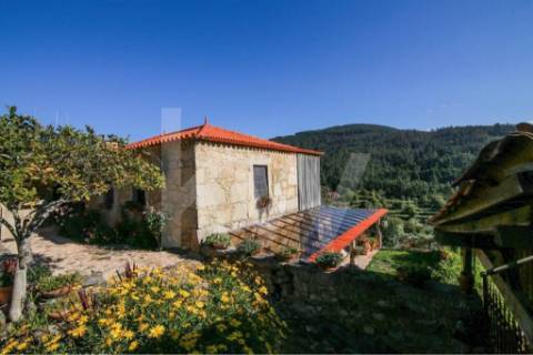 Moradia T3 em quinta c/8960m2, vários anexos e vistas deslumbrantes sobre a Serra da Labruja.