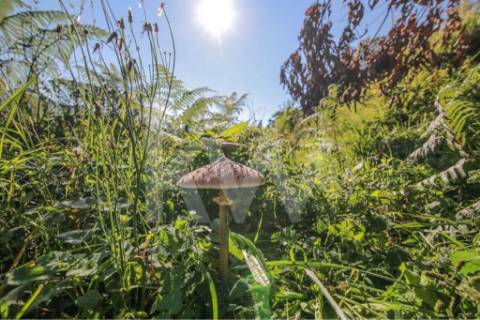 Moradia T3 em quinta c/8960m2, vários anexos e vistas deslumbrantes sobre a Serra da Labruja.