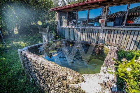 Moradia T3 em quinta c/8960m2, vários anexos e vistas deslumbrantes sobre a Serra da Labruja.