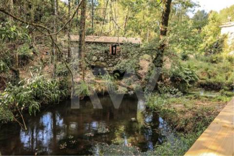 Moradia T3 em quinta c/8960m2, vários anexos e vistas deslumbrantes sobre a Serra da Labruja.