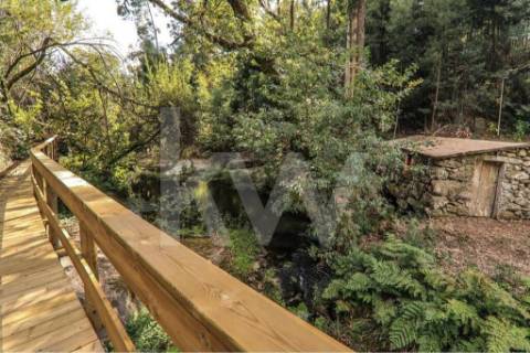 Moradia T3 em quinta c/8960m2, vários anexos e vistas deslumbrantes sobre a Serra da Labruja.